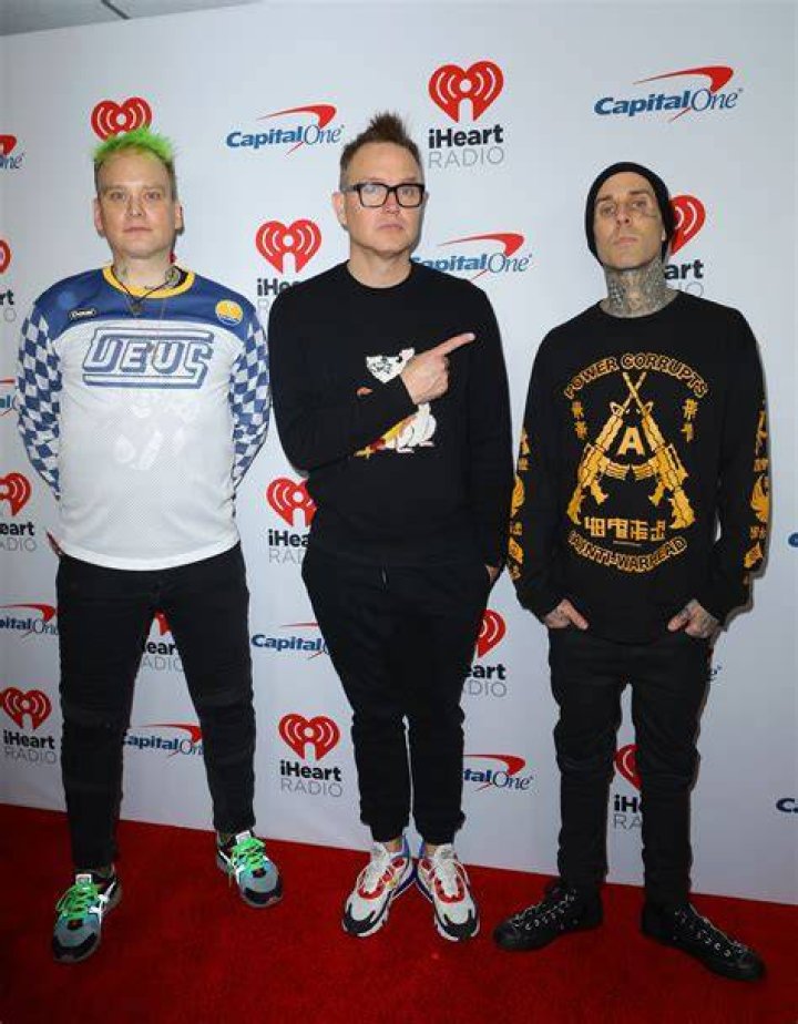 Blink182&rsquo;s Tom DeLonge Thanks Matt Skiba for Filling In During His